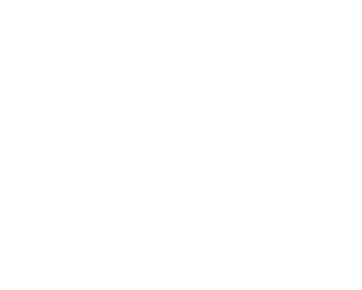 Disabled People's Association